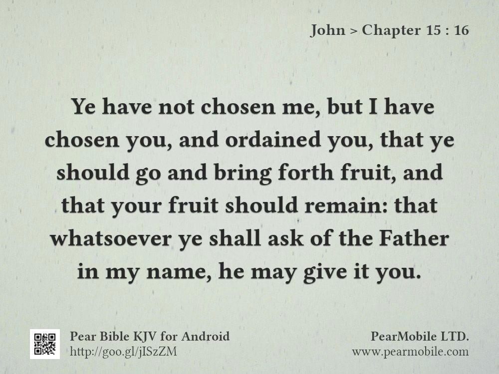 John, Chapter 15:16